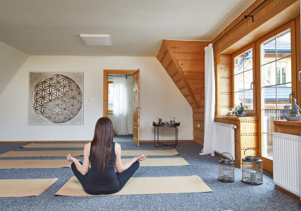 Niedźwiedzia Residence – miniatura 20