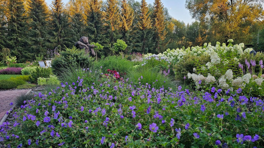 Niedźwiedzia Residence – miniatura 22