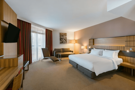 Radisson Blu Hotel ***** – miniatura 21