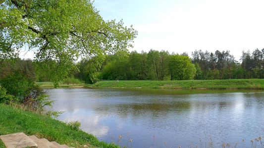 Hotel pod Sosnami – miniatura 17