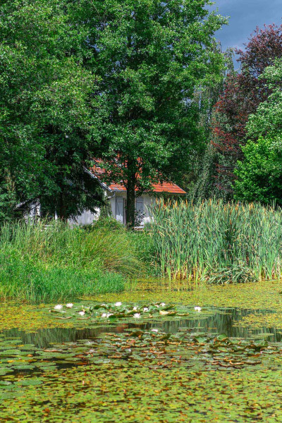 Agro-Pustelnik – miniatura 22