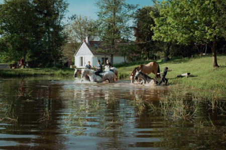 Agro-Pustelnik – miniatura 21