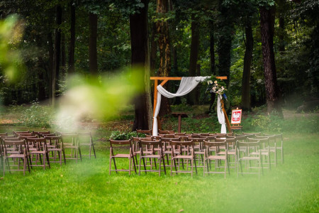 Pałac Baborówko – miniatura 13