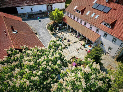 Turkusowa Wyspa – miniatura 3