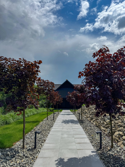 Hebanowe – miniatura 3