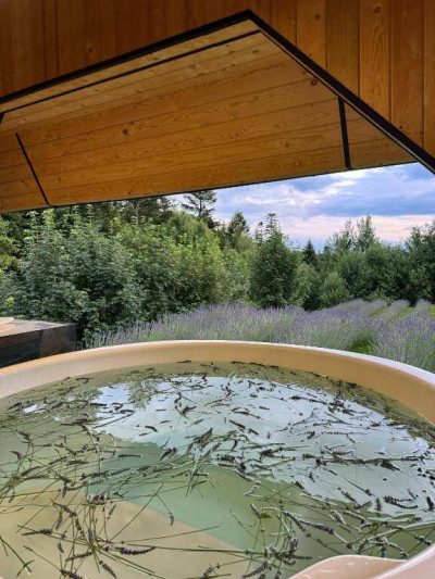 Hebanowe – miniatura 22