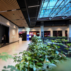 Art Box Experience – miniatura 25