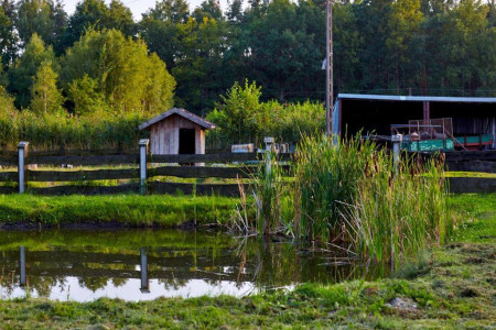 Rancho Colorado – miniatura 20