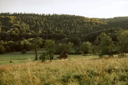 Sielska Chyża – miniatura 22