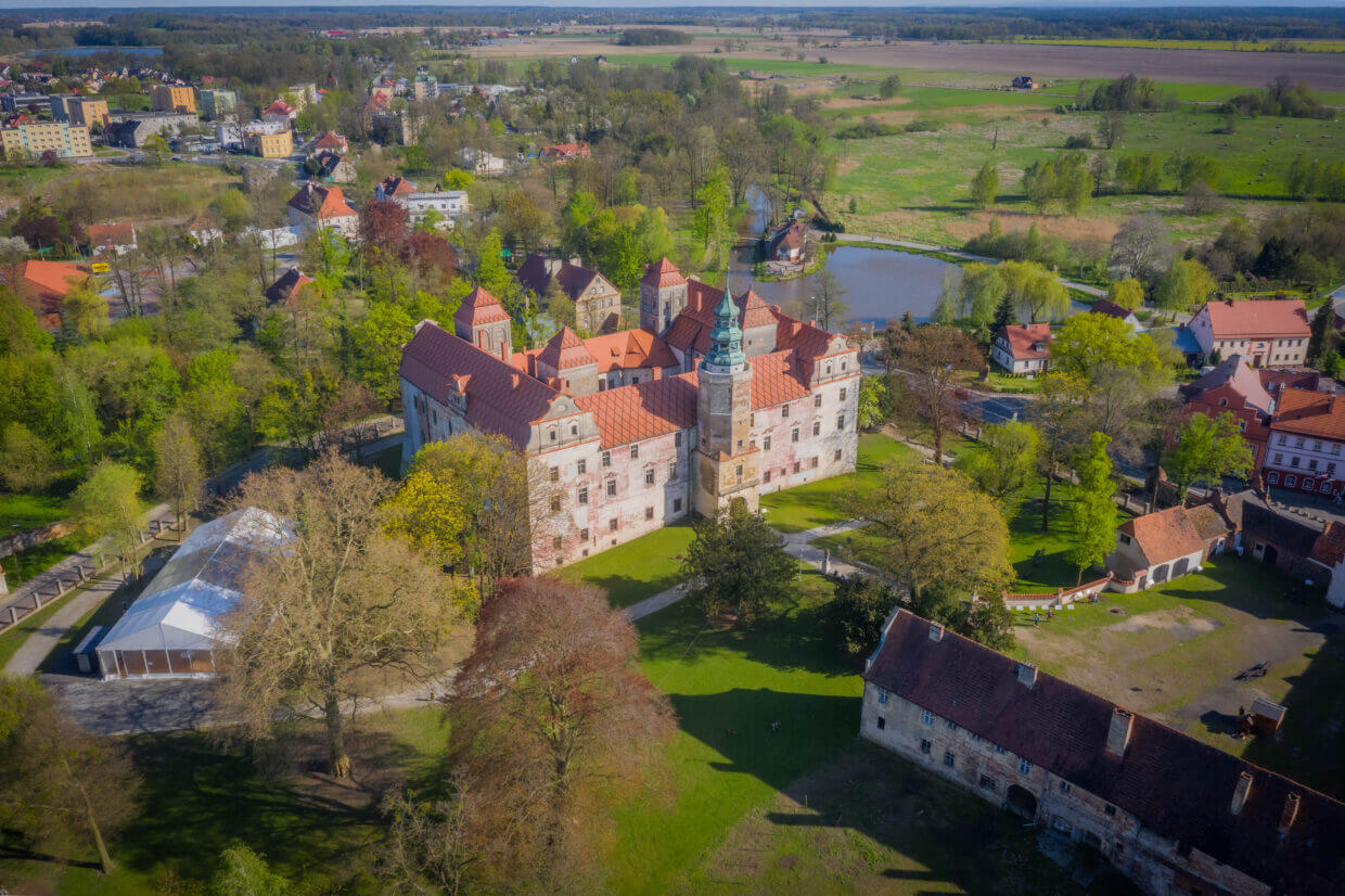 Zamek Książęcy Niemodlin – zdjęcie główne