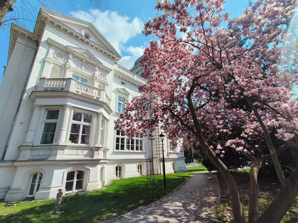 Stara Biblioteka – zdjęcie główne