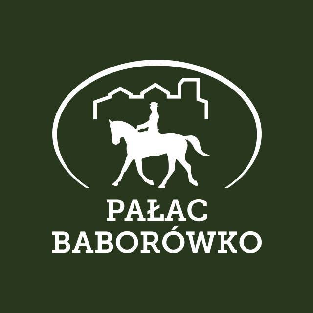 Logo Pałac Baborówko